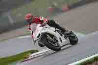 Advanced Group White Bikes